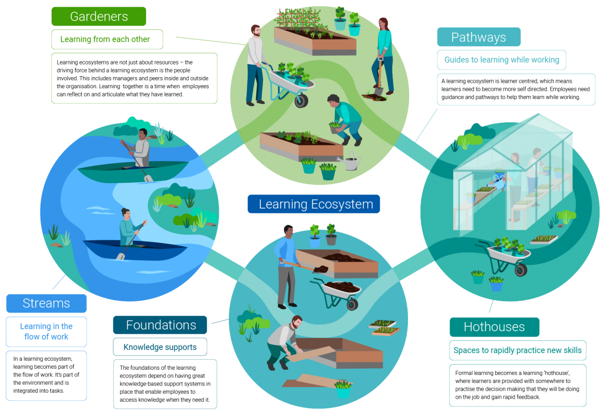 A Learning Ecosystem Model