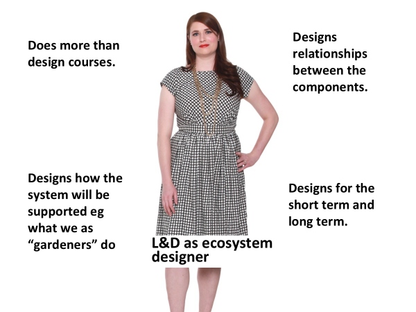 What does an learning ecosystem designer do?