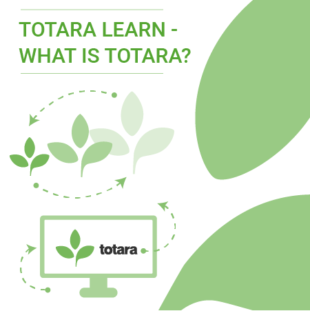 What is Totara resources